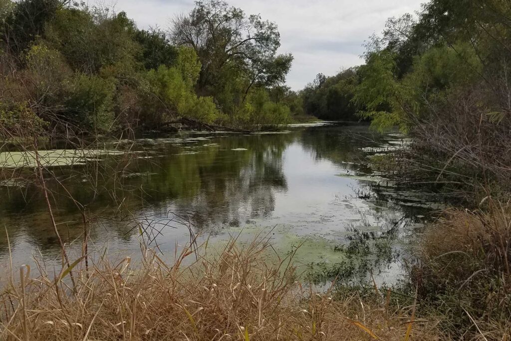 The Cibolo Creek watershed with trees lining its banks. Residents in the Cibolo Creek watershed area will be able to learn more on how to improve and protect the watershed from bacterial contaminants during a Lone Star Healthy Streams workshop on March 27 in Floresville.