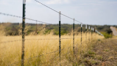A fence lining the road in West Texas.