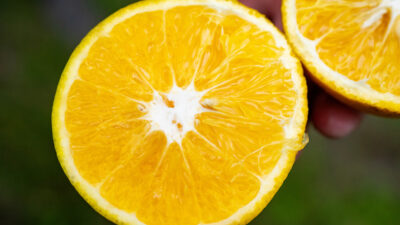 An orange is cut in half.