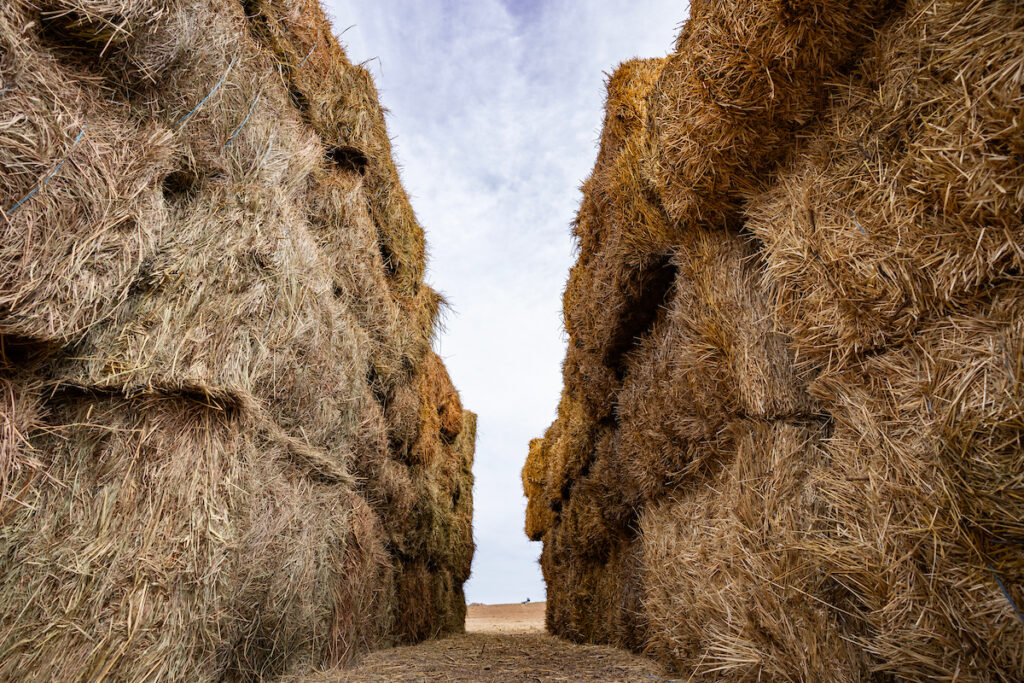Hay bales sit along side a farm road in the Panhandle following wildfire disaster.