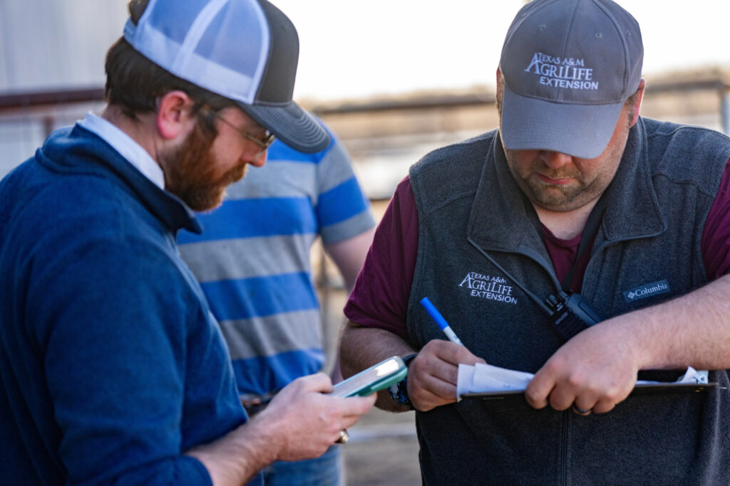 As a part of wildfire disaster response, Marcus Preuninger, left, and Cody Allen, right, transfer information from a phone to paper at the animal supply point