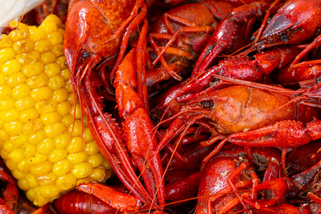 A plate of crawfish with an ear of yellow corn  