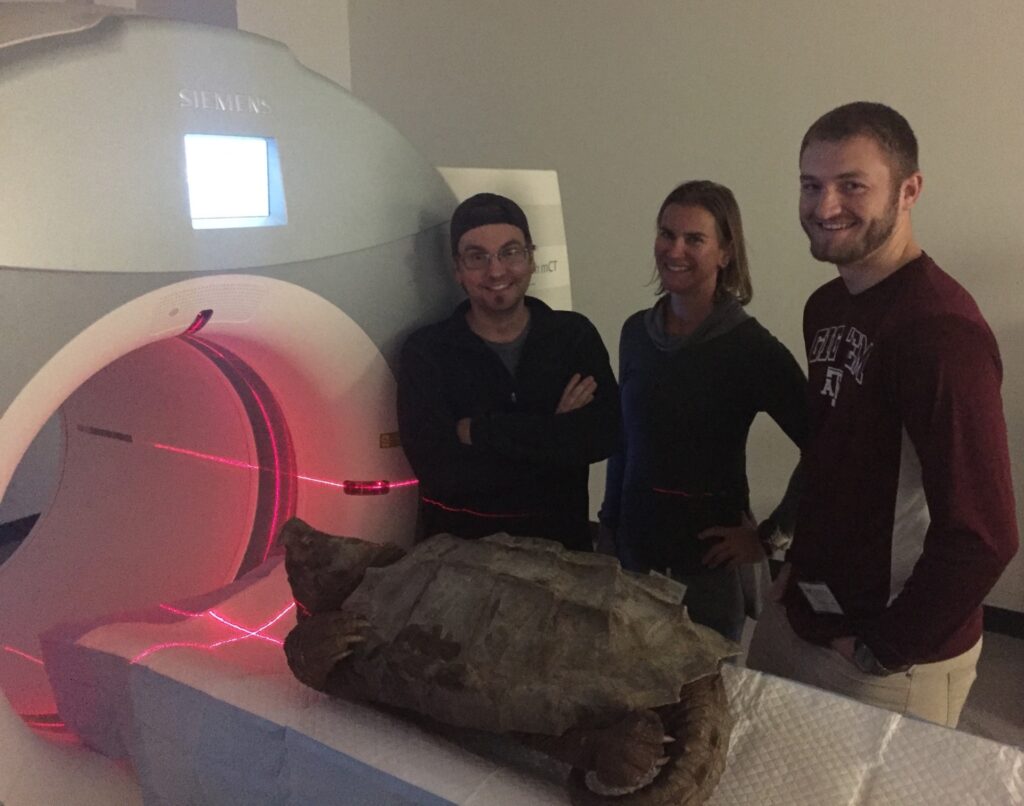Dr. Kevin Conway and Heather Prestridge, curators at the Biodiversity Research and Teaching Collections, and Holden Currie, a former student, prepare to scan a turtle specimen at the Texas A&M School of Veterinary Medicine and Biomedical Sciences.
