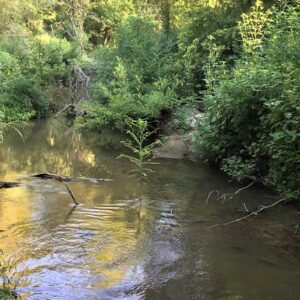 Thompsons Creek watershed protection plan kick-off meeting will be April 10 in Bryan