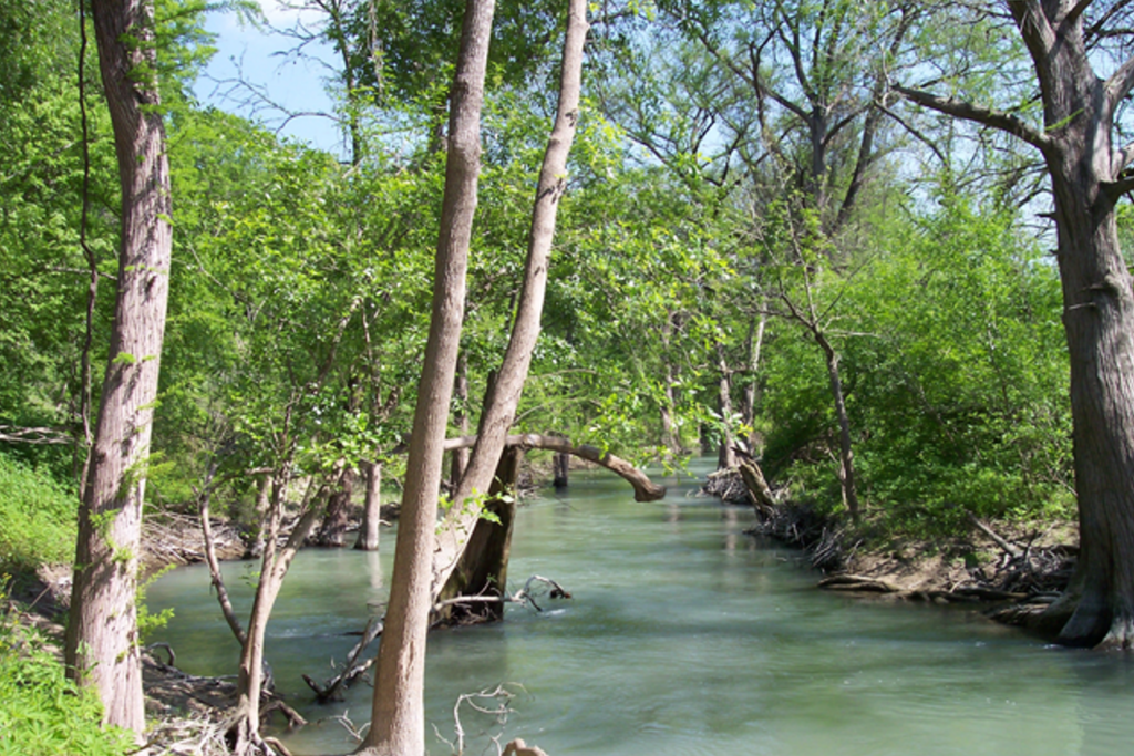 The Medina River watershed with trees lining its banks. Residents will be able to participate in planning the watershed protection plan for the Medina River area during a meeting on March 28 in Castroville