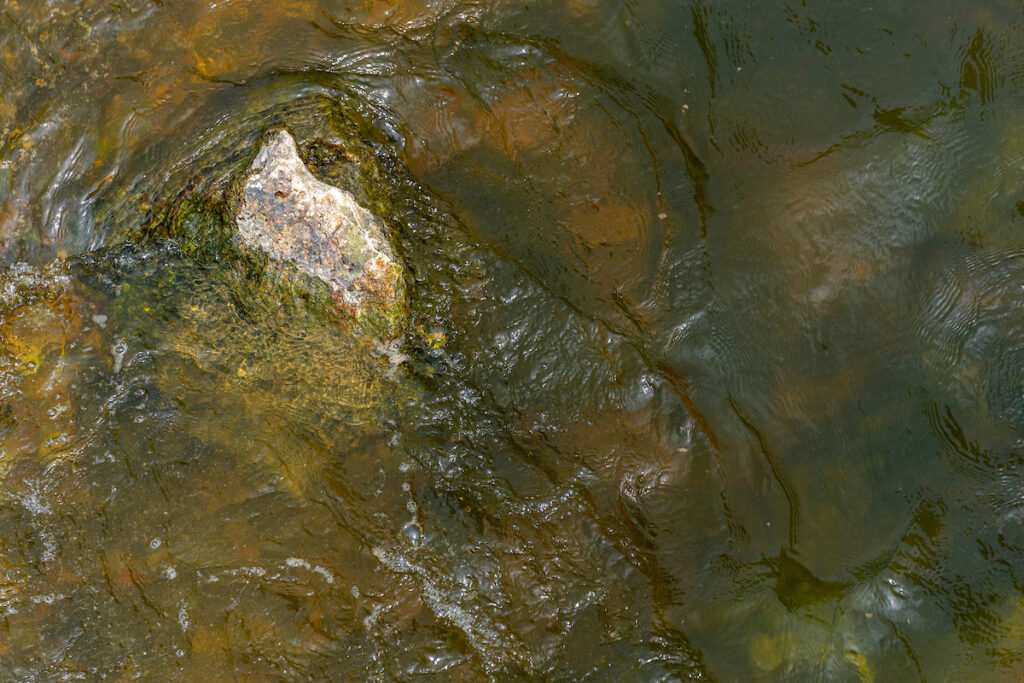 A river is flowing across a small rock in the riverbed. Residents living in the Brushy Creek watershed will be able to learn about the creek how to help improve its water quality during a meeting in Round Rock on April 2.