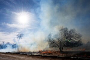 Cloud of smoke rises from The Smokehouse Creek Fire in the Texas Panhandle. 