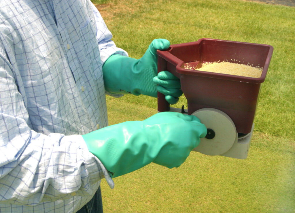 Man using handheld spreader to broadcast fire ant bait. He is wearing green runner gloves. 