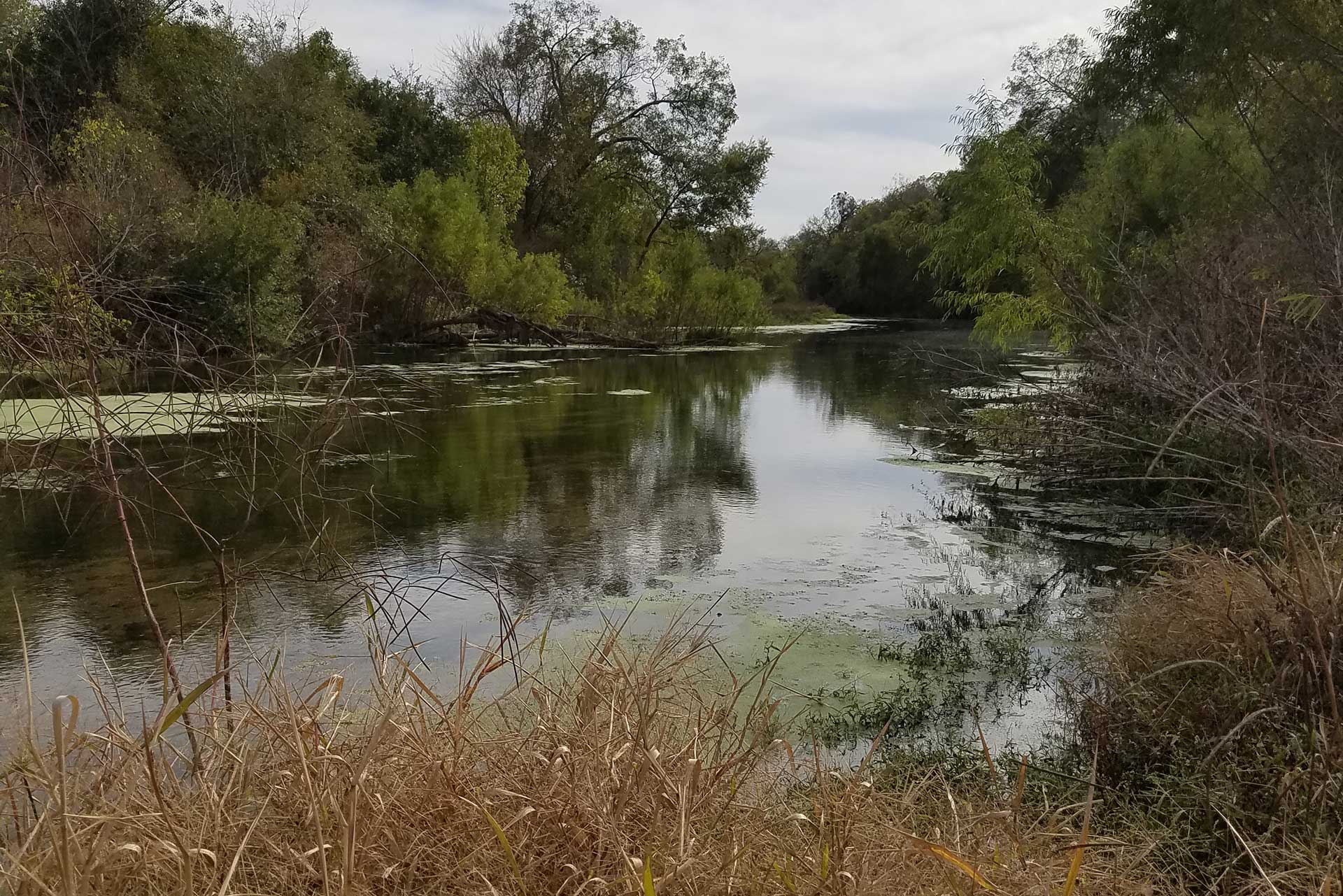 Lone Star Healthy Streams program set March 27 in Floresville