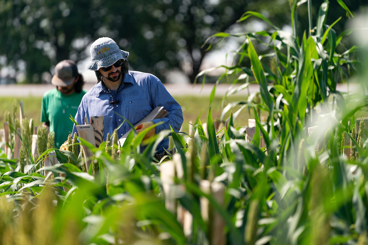 AgriLife Extension to offer educational programs Nov. 28-29 at Amarillo Farm and Ranch Show