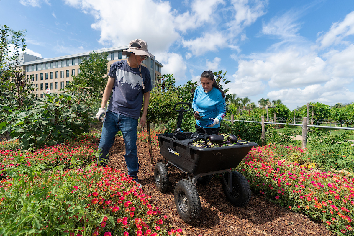 Lawn and Garden 101 series starts March 7 in Georgetown