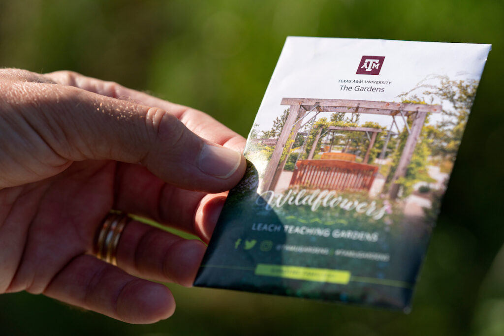 A man's hand holding a Texas A&M seed packet of wildflowers