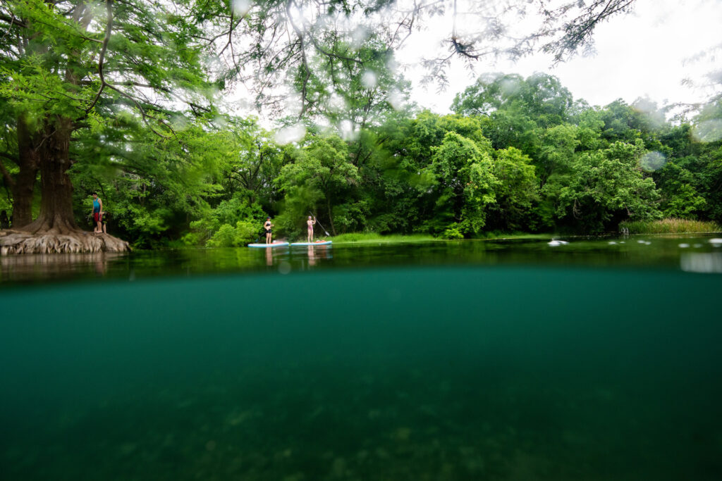 Two individuals on Paddle boards on the San Marcos River. There are green trees around them