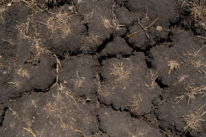 Close up of cracked dry earth