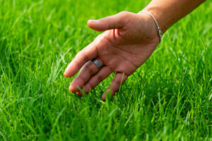 a hand touching green grass on the ground