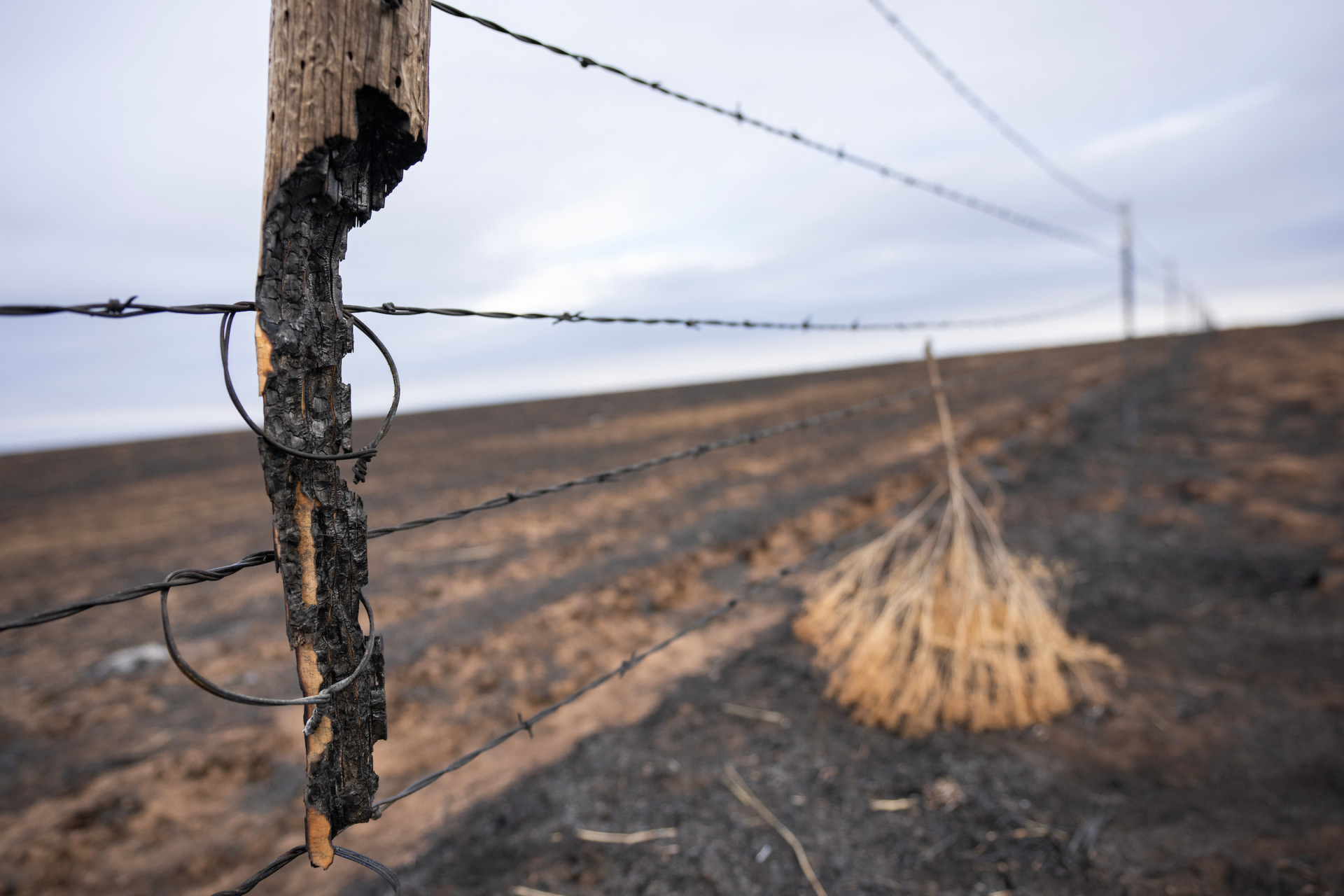 Replacing thousands of miles of burned fences in the Texas Panhandle