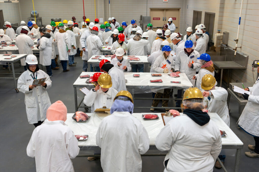 Students examine cuts of meat in the Rosenthal Meat Science and Technology Center lab during the meat judging clinic that was hosted by the Texas A&M Meat Judging Team. 