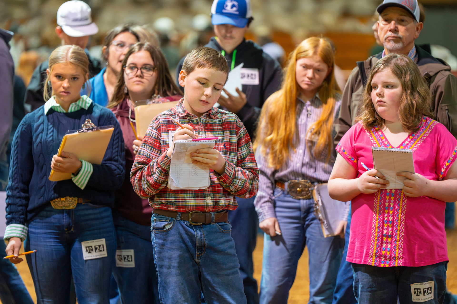 Animal science judging clinics provide hands-on learning and skills to youth