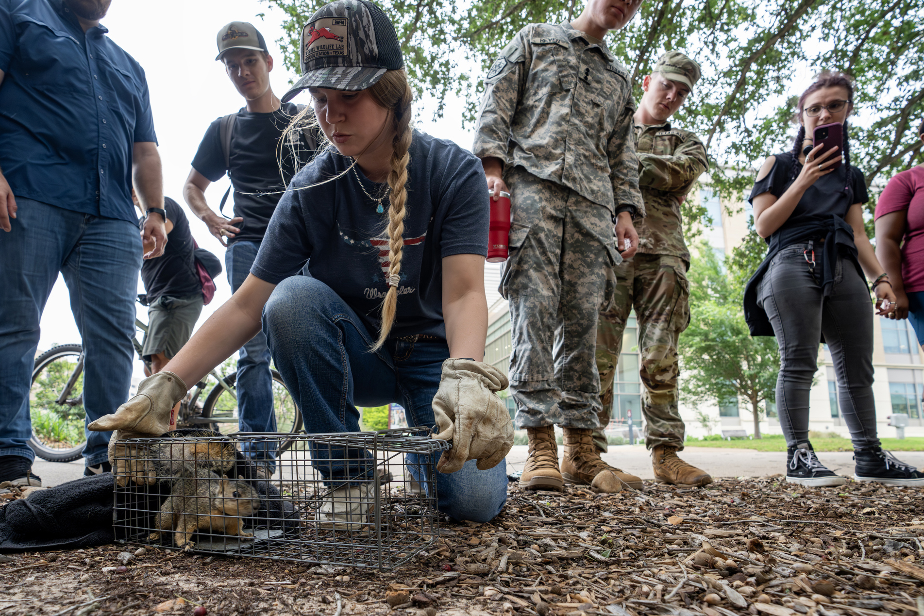 A student in a blue shirt and camouflage hat releases a squirrel with a radio frequency collar