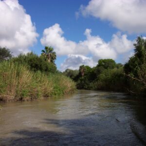 Riparian and stream ecosystem workshop for Arroyo Colorado watershed set for April 30 in Weslaco