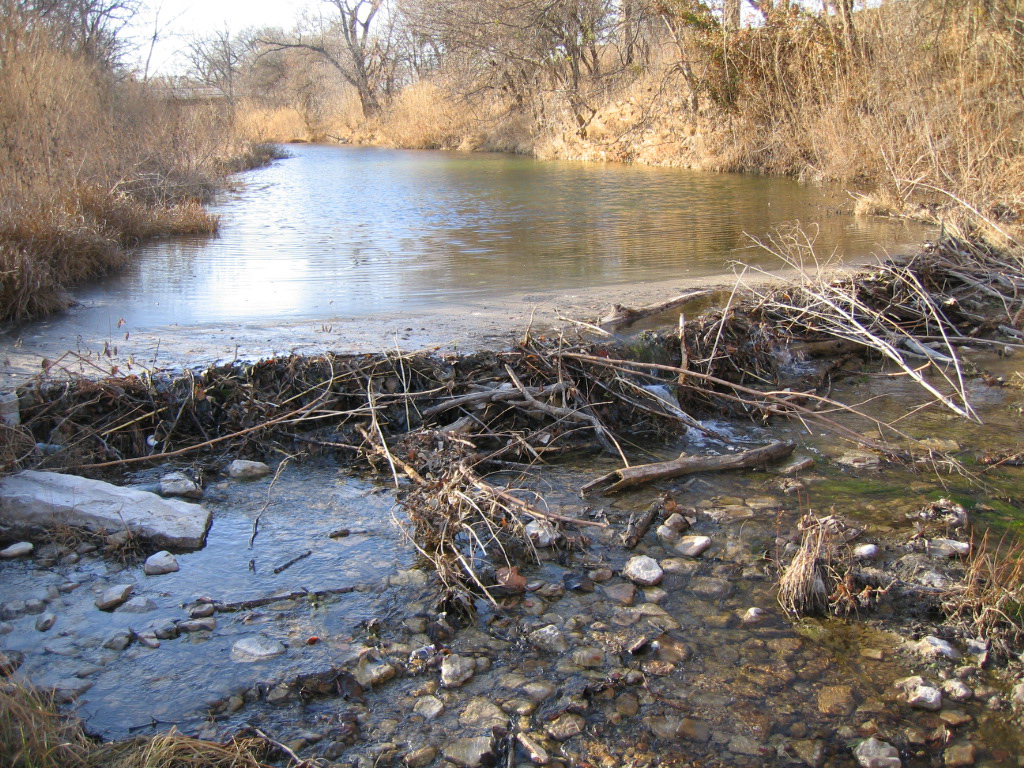 Lone Star Healthy Streams workshop set Dec. 1 in Cranfills Gap