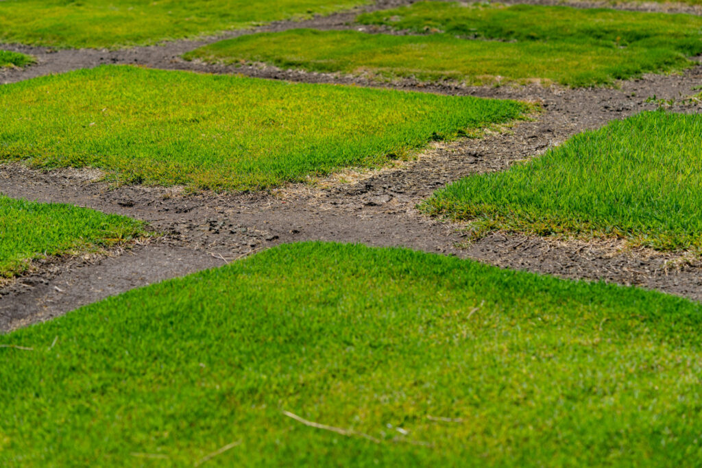 squares of turf in the ground
