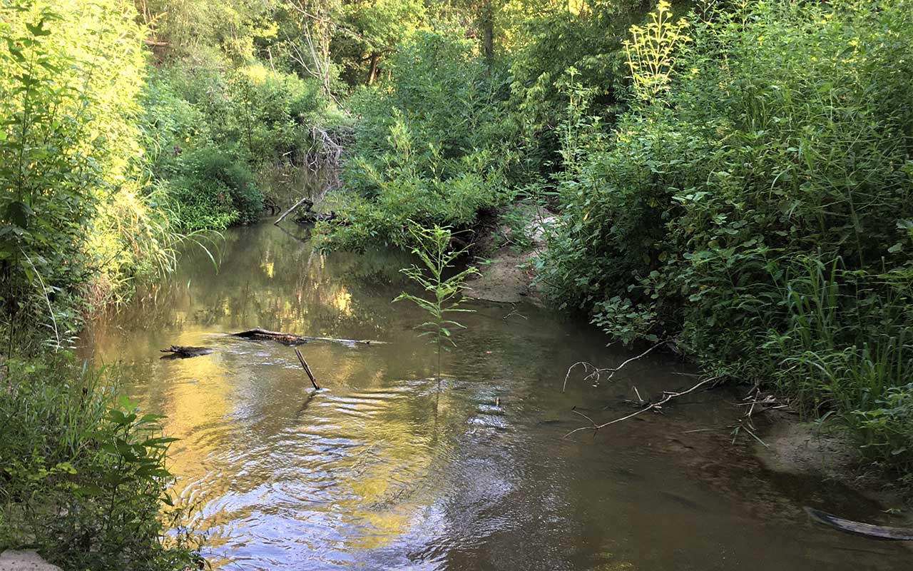 Thompsons Creek watershed protection plan kick-off meeting will be April 10 in Bryan