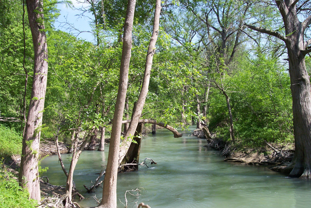 Riparian and stream ecosystem workshop set for March 5 in Bandera