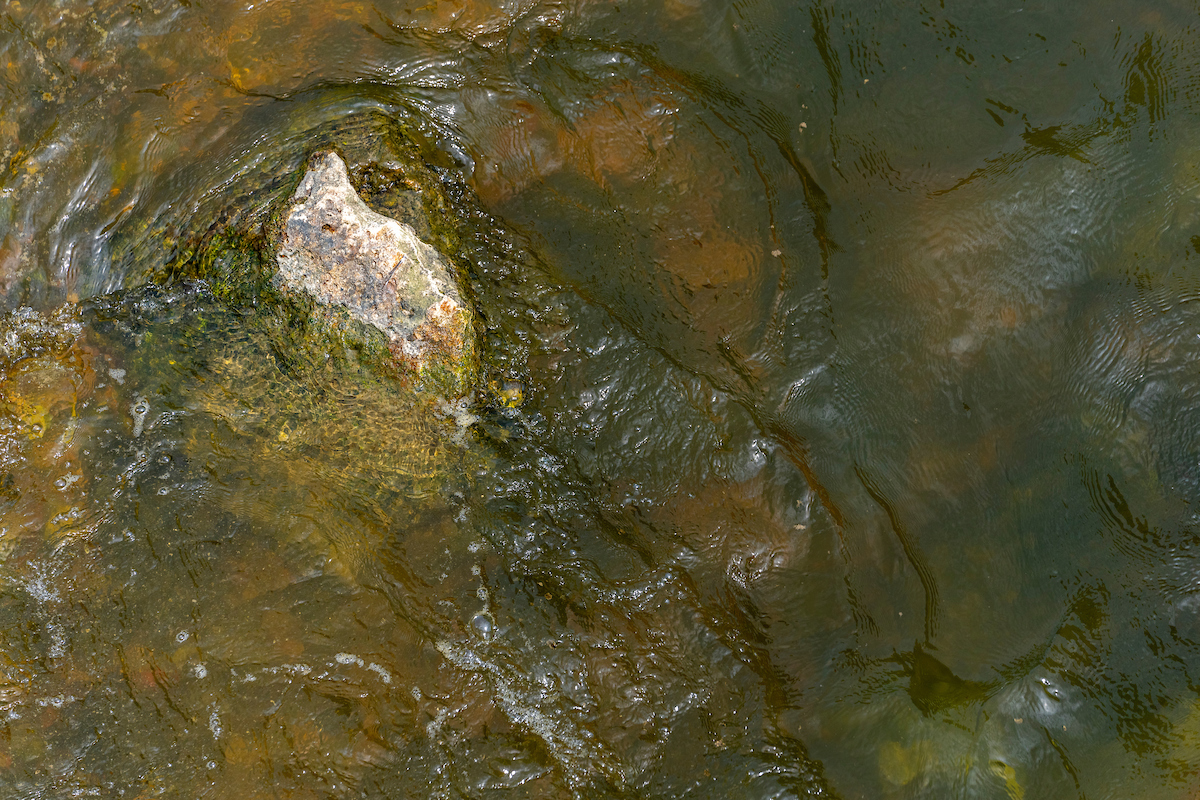 Brushy Creek water quality training set for April 2 in Round Rock