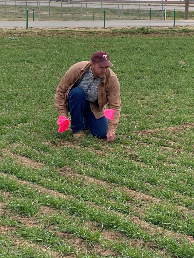Agronomist Reagan Noland kneels in a field placing small pink flags to mark the crop rows