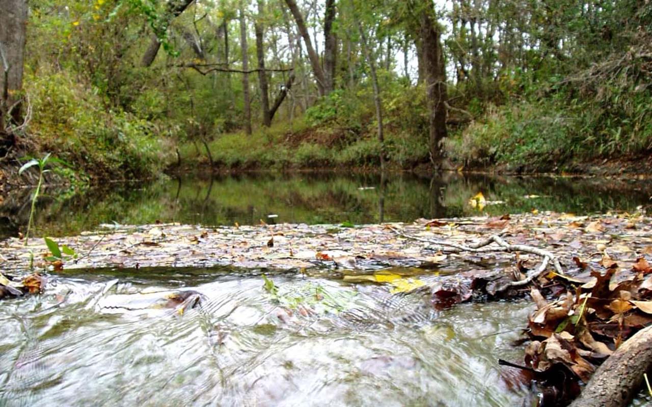 Lone Star Healthy Streams program set for April 18 in Lockhart