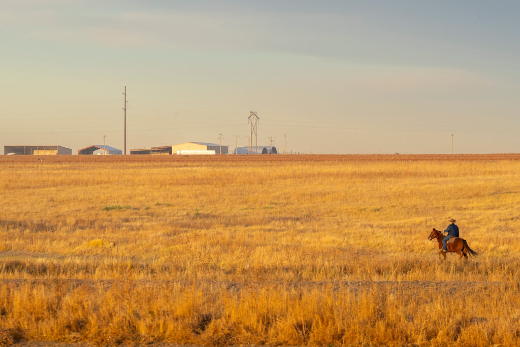 A man in a cowboy hat rides a brown horse across a rangeland. A few buildings and a power line appear in the distance.