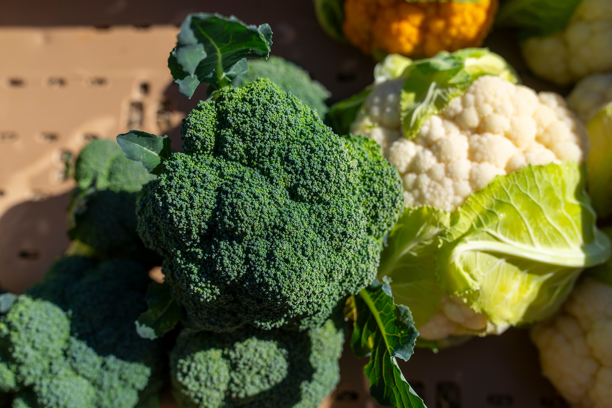 A head of broccoli and cauliflower on a table.