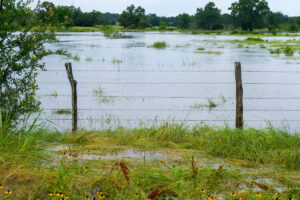A flooded field behind a barbed wire fence