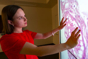 A nutrition student wears a red dress while both hands are on a touch screen showing that shows muscle tissues and cells.