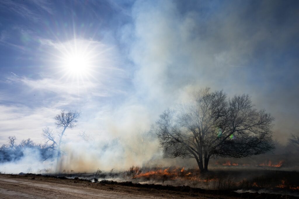 a picture of small flames of a forest fire in the grass, smoke rising into the blue sky, with a bright sun and trees all over the landscape