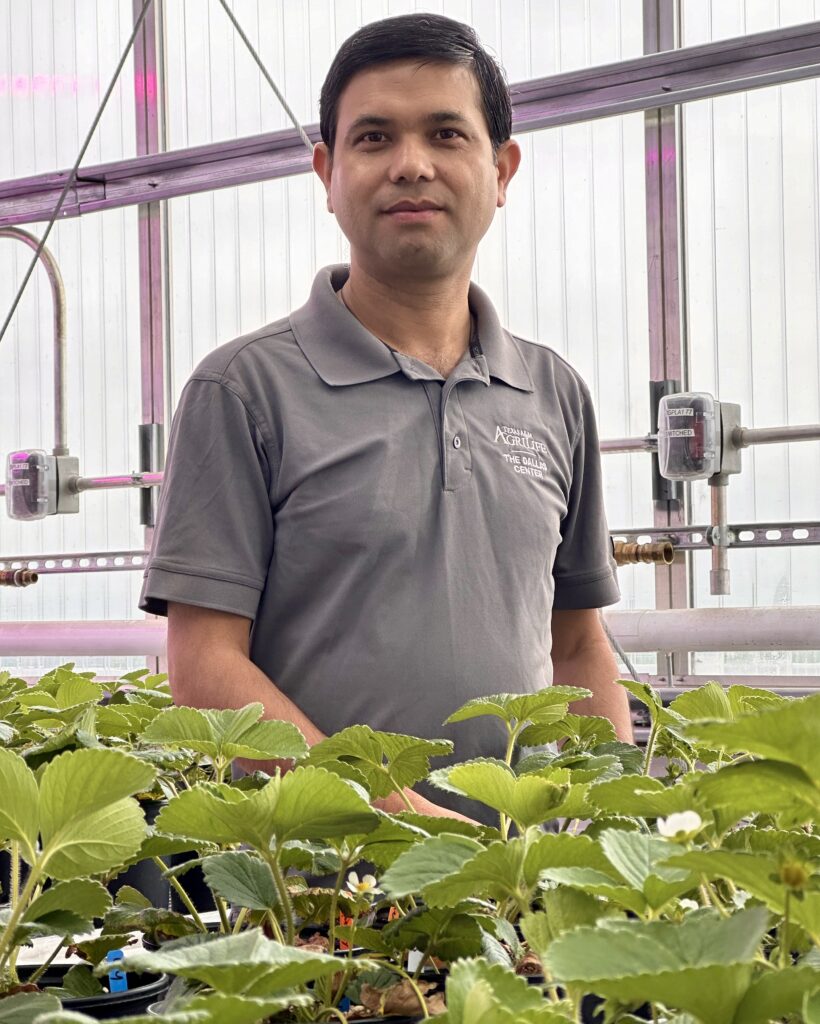 Krishna Bhattarai, Ph.D. in a warehouse with plants in front of him. He is wearing a gray shirt 