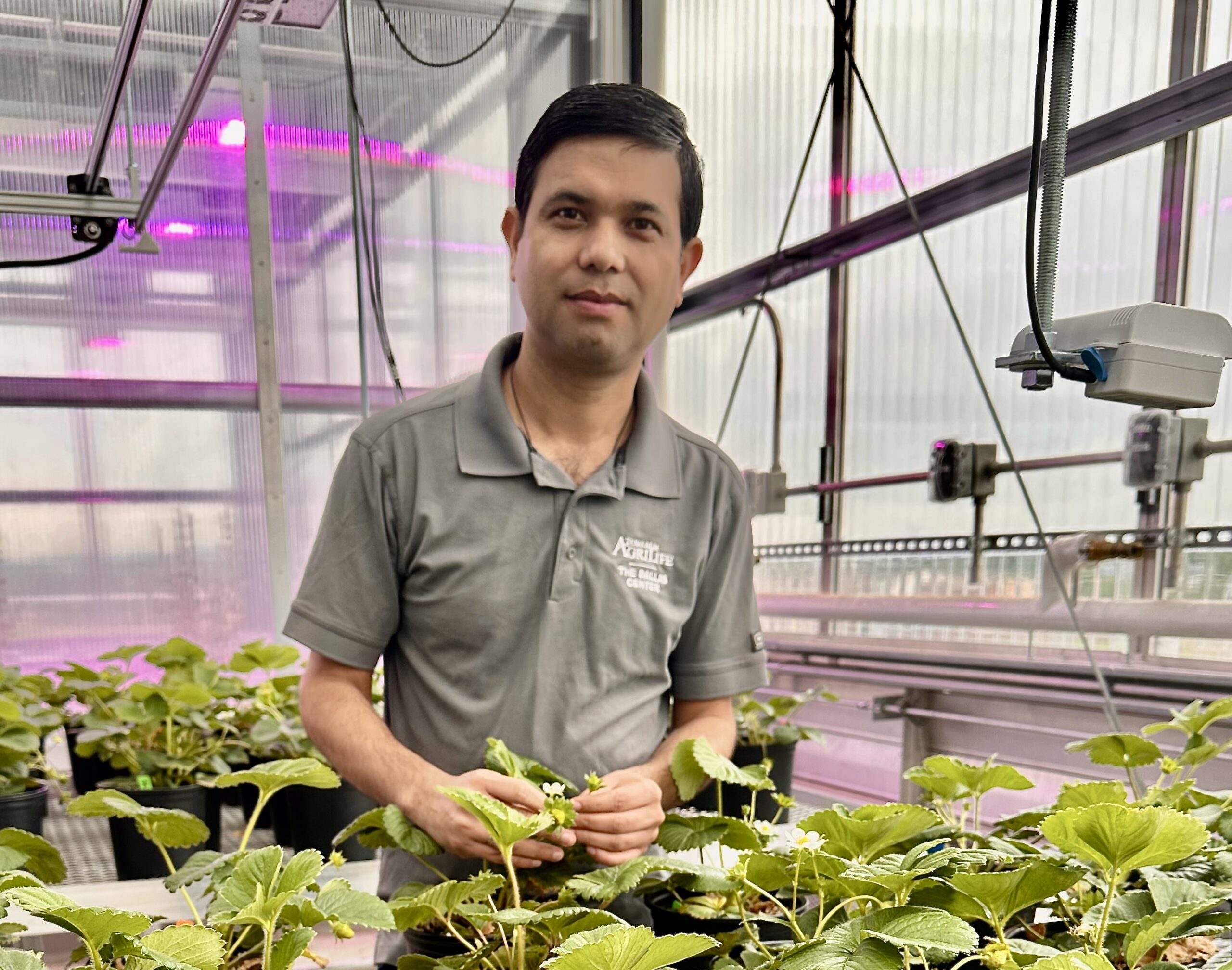 Optimizing genetics to advance controlled environment agriculture