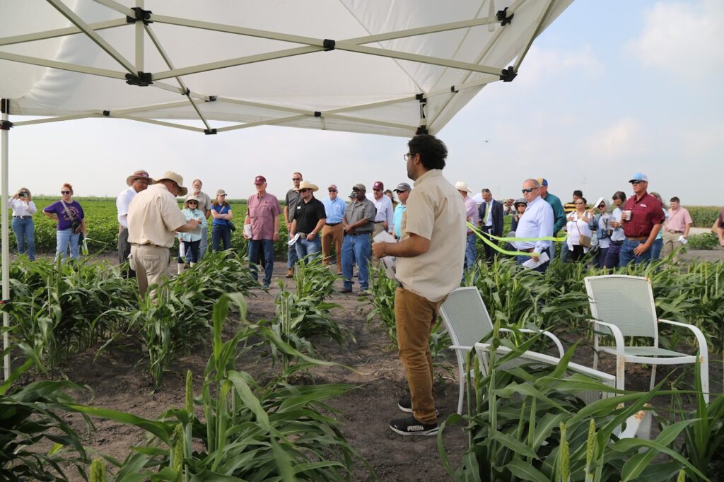 A group of people stand in a field observing demonstrations at the AgriLife Research and Extension Center in Corpus Christi. There are green crops, A white tent cover and chairs in the field. 