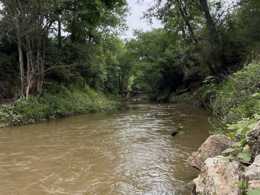 The Middle Yegua Creek running through tree-lined banks. Residents learn how they can be part of a watershed and water quality improvement plan during the June 11 meeting in Giddings.