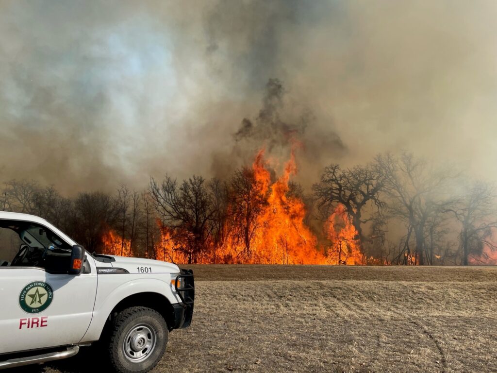 A white Texas A&M Forest Service truck parked in a field in front of a burning treeline 
