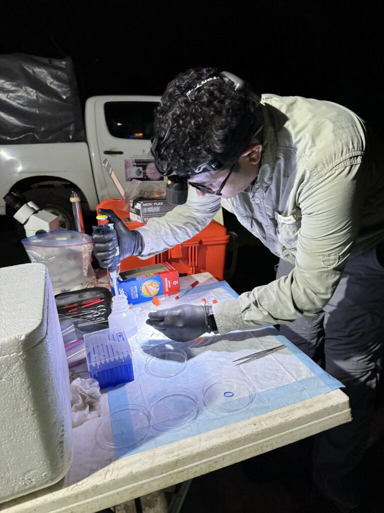 Giri Athrey wears a white lab coat and is hunched over a table outdoors at night with vials of mosquito samples for malaria testing.
