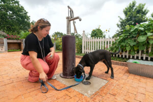 A woman sets up a water bowl for her dog.