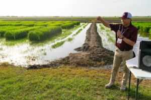 A person is speaking about rice research at a rice field day in Beaumont, Texas.