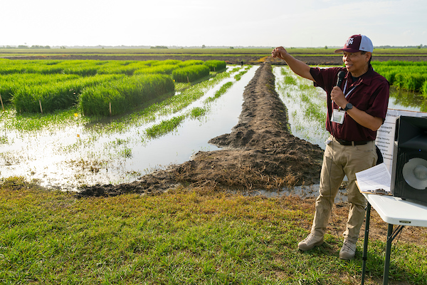 Annual Beaumont Rice Field Day set for July 11