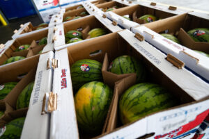 Texas watermelons in cardboard crates.
