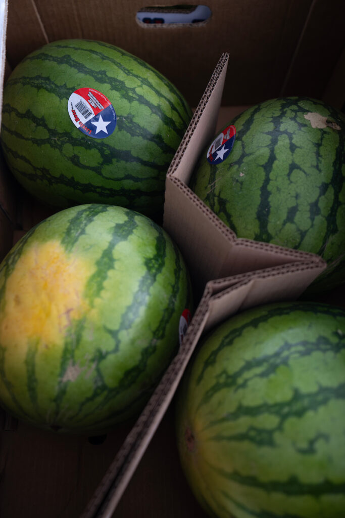 Boxes of watermelons. 