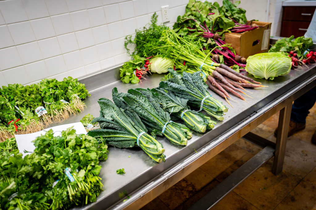 A table filled with a range of freshley packaged vegetables including cilantro, kale, maroon carrots and beets. 