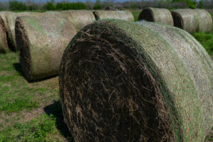 Bales of hay are in a pasture in Corpus Christi.