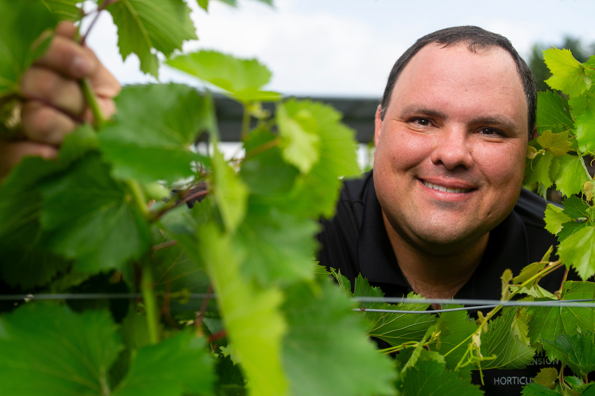 Top wine society award and scholarship helps educator continue learning